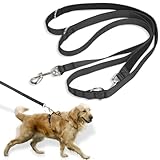 YIMVUNZ Hundeleine 2.5 Meter, Verstellbare Schleppleine mit 2 Karabiner, Keine Verwicklung Leine, Freihandleinen, Übungsleine aus Nylon, Schwarz