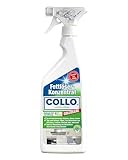 COLLO COLLOSSAL Premium Fettlöser Konzentrat 500 ml I Fettlöser Küche, Haushalt, Werkstatt, Garage & Garten I Küchenreiniger gegen hartnäckige Flecken