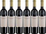 Cantina Boccantino Primitivo Susumaniello Salento IGP 2024 Halbtrocken (6 x 0.75 l)