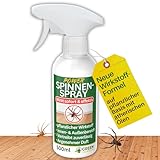 GREEN GUARDIA Spinnen Abwehrspray – Sprühfertiges Konzentrat mit pflanzlichen Ölen | 500 ml für Innen & Außen | sofort, effektiv & nachhaltig