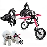 Hunderollstuhl für Hinterbeine, verstellbar, unterstützt die Heilung, Hundewagen/Rollstuhl für verletzte, behinderte, gelähmte oder an den Hinterbeinen schwache Haustiere（XS）