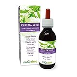 Kalmegh oder Grüne Chiretta (Andrographis paniculata) Spitzen Alkoholfreier Urtinktur Naturalma - Flüssig-Extrakt Tropfen 120 ml - Nahrungsergänzungsmittel - Veganer