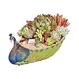 BKEKM Pflanztöpfe aus Kunstharz, Pfauen-Sukkulententopf, for Haus und Garten, Vintage-Pflanzgefäß, Blumentopf mit Drainageloch, Pflanztopf