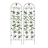 Apriltop 2 Stück Rankgitter Eisen 180 cm Hoch 50 cm Breit, Spike Länge 20 cm, Rankhilfe für Kletterpflanzen, Gewölbte Form, für Innenhöfe, Balkone, Terrassen, Gärten, Schwarz