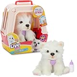 Little Live Pets My Really Real Puppy – Luna; Interaktiver Welpe; 60+ Geräusche/Reaktionen; realistisches Aussehen; 1 aus 72 Varianten; Spielset mit Transportbox; Batterien enthalten; ab 5 Jahren
