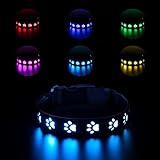 ORIA LED Leuchthalsband Hund, USB Aufladbar, Halsbänder, 7 Beleuchtungsmodi, Wasserdicht, Verstellbare, Hundehalsband Leuchtend Katzen - M (15,7' - 19,7')