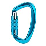 Carabiner Verriegelungsclip – automatische Verriegelungsschnalle in D-Form mit Federhaken, robuster Karabinerhaken | Schwerer leichter Metall-Karabiner für Schlüsselanhänger