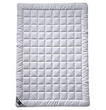 Billerbeck Bettdecke Sari – ca. 155 x 220 cm – leichte Sommerdecke – kühlende dünne Decke für den Sommer – aus Tussah Seide