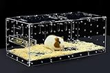 GuineaLoft™ Acrylkäfig (Modell-P) – 60x30cm geschlossener Käfig mit Deckel und Boden für EIN einzelnes Meerschweinchen oder Hamster, DIY-erweiterbar – Besuchen Sie den Guinea Loft Shop