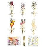 ALTcompluser 6 Bündel Getrocknete Blumenstrauss Mini, Trockenblumen zum Basteln Klein Natürliche Getrocknete Blumen mit 10m Hanfseil und 3 Goldfolien Blumen Aufkleber für Bilderrahmen Scrapbooking