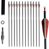12er Pfeile Carbonpfeile 31 Zoll für Bogenschießen Bogenpfeile Jagdpfeile für Recurvebogen,Jagd Schießen Bogen (Rot)