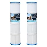 YANHUA Spa-Filter für Whirlpool-Filter, kompatibel mit PRB75, für Unicel C-4975, für Darlly 40751, für Filbur FC-2395, SC733, Filterbereich von 75 m² (PRB75-2 Stück)