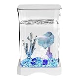 Betta Fischaquarium – Kleines Tisch Aquarium Starterset Mit Led-Lampe, Rechteckiges Mini-Becken Für Anfänger | Ideal Für Bettas, Nano-Fische, Schreibtischdeko, Wohnzimmertisch, Kinderzimmer Und Stilvo