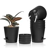 T4U 14cm Kunststoff Blumentopf mit Bewässerungssystem, 6er-Set Selbstbewässerung Übertopf mit Untersetzer, Rund Pflanzkübel für Innen und Balkon Garten Pflanzen Sukkulenten Kaktus, Schwarz