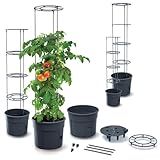 magubo Pflanzturm - Hochwertiger Pflanzen Aufzucht Turm, Ideal als Tomatentopf, Tomatenzüchter, Blumentopf für den Garten, Pflanzen Tomate, Balkon und Terrasse (3, 12L)