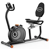 VANNECT Liegeergometer für Zuhause mit 16 verstellbaren Widerstandsstufen, Leise Liegerad Heimtrainer mit Großer Bequem Sitz, App-Konnektivität, Herzfrequenzsensoren, Bis 180kg Ergometer Fahrrad