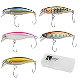 Zite Fishing Forellenwobbler-Set 5,2cm – 5 UL Forellen-Köder Barsch Angelköder – Langsam Sinkende Trout Spoon Alternative mit Köder-Box