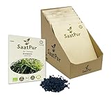 SaatPur Bio Keimsprossen - Zwiebeln - Keimsaat für die Sprossenzucht zuhause - Kleines Tray mit 30 Portionstüten je 15g