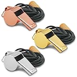 FineGood 3 Pack Edelstahlpfeifen, Whistles Sport mit Lanyard Schiedsrichterpfeife für Trainer Lehrer Notfallpfeife