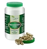 VITA IDEAL Vegan® Brennnessel Wurzel 360 Kapseln - Urtica dioica - Tagesportion 650mg Brennnesselwurzel reines Pulver. Natürlich, pflanzlich original von VITAIDEAL