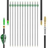 SERfawnCH 12 Carbonpfeile für Jagd & Zieltraining 31 Zoll für Bogenschießen Erwachsene Recurvebogen und Traditionelle Bögen
