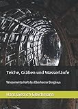 Teiche, Gräben und Wasserläufe: Wasserwirtschaft des Oberharzer Bergbaus