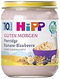 HiPP Bio Guten Morgen Porridge Banane-Blaubeere (6 x 160g), ab 10. Monat, ohne Zuckerzusatz, schmeckt warm & kalt, in bester Bio-Qualität