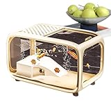 Tisch-Aquarium – Mini-Aquatic-Ausstellungs-Tank mit Kletter-Dekor, Desktop-Tank für kleine Wassertiere, Garnelen, Schildkröten, Betta, transparenter Acryl-Lebensraum, Hinzufügen für Wasserpflanzen