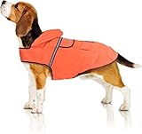 Bella & Balu Hunderegenmantel – Wasserdichter Hundemantel mit Kapuze und Reflektoren für trockene, sichere Gassigänge, den Hundespielplatz und den Urlaub mit Hund (M | Orange)