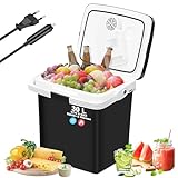 WOLTU Kühlbox Auto 30L Elektrisch 12v 230v, Zum Kühlen und Warmhalten, Camping Kühlschrank für Auto und Steckdose mit USB, Thermobox, Kühlbox Klein für LKW, Strand, Picknick, Beach, Schwarz