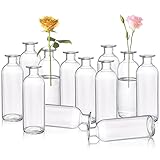 Peohud Set mit 12 Glasvasen,16cm hoch Knospenvase Blumenvasen Klare kleine Blumenvasen, Dekorative Glasflaschen Blumenvasen für Home Decor, Hochzeitsempfang, Party