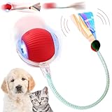 LETTERASHQP Hundespielzeug Ball Elektrisch Katzenspielzeug Ball Elektrisch Katzenspielzeug Interaktiv Hundespielzeug Interaktiv Interaktiver Spielball für Katzen