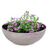 matches21 Pflanzschale für draußen - Vintage Dekoschale Sand beige marmoriert als Blumentopf Pflanztopf - Schale in 20 x 7,5 cm als Garten Vogeltränke Balkon-Deko oder Friedhof Grabschale