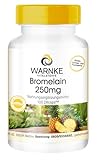 Bromelain Kapseln - 250mg Bromelain pro Kapsel - 100 Kapseln - 600 F.I.P - natürliches Ananasenzym - vegan & hochdosiert | Warnke Vitalstoffe - Deutsche Apothekenqualität