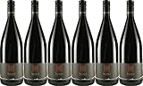 Lothar Kern Dornfelder 2023 Trocken Demeter Bio (6 x 1.0 l)