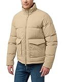 Jack Wolfskin Herren Nordlicht Jkt M Daunenjacke, Anis, S EU