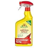 Neudorff Loxiran AF AmeisenSpray – Anwendungsfertiges Spray zur zuverlässigen Bekämpfung von Ameisen mit Sofortwirkung für Innen und Außen, 750 ml