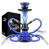 REANICE 11'Shisha Komplett Set Hookah mit 2 Schläuchen Wasserpfeifen blau rauchendes Glas Shisha mit Wärmemanagement-System