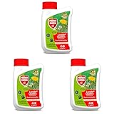PROTECT GARDEN Universal-Rasenunkrautfrei Loredo Quattro Rasen-Unkrautvernichter gegen hartnäckige Unkräuter mit 4-fach Wirkung, 400 ml (Packung mit 3)