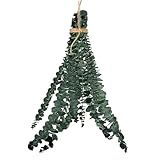 Generisch Eukalyptus Pflanze für die Dusche,Eukalyptusstiele Duschzubehör 10 Stücke | Trockendeko Bund für Zuhause Wohnung Spa Blumengeschäft