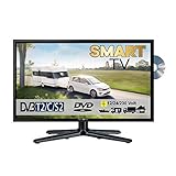 Reflexion LDDW19i LED Smart TV mit DVD und DVB-S2 /C/T2 für 12V/24V u. 230 Volt WLAN