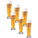 PAULANER BIER GLÄSER SET 6er 0,5 Liter NEU WEIZENBIER