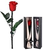 Bixury Infinity Rose Rot Die ewige Rose Infinity Rose Rot am Stiel mit Geschenkbox Valentinstag Weihnachten Muttertag Deko Geschenk Konservierte Rose in Rosenbox Geschenke für Frauen Mama