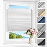 Zarnan Plissee ohne Bohren Verdunkelung Thermo Plissee Klemmfix Weiß B40 x H100 cm(BxH) plisseerollo Klemmfix 100% Blickdicht Jalousien for für Fenster innen Sichtschutz