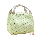 FJOADNVM Lunch Tasche Lunchtasche, isoliert, mit kalten Streifen, Picknick-Tragetasche, tragbare Thermo-Lunchbox, Bento-Tasche, Lunchbehälter, Lebensmittelaufbewahrungstaschen(Gn)