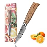 Wakoli EDIB Pro Premium Officemesser und Spickmesser mit 8 cm Klinge gefertigt aus 67 Lagen echtem Damaststahl mit Pakkaholzgriff I Damastmesser Küchenmesser und Profi Kochmesser