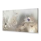 murando - Wandbilder XXL Pusteblume 150x50 cm 1 tlg Wand Deko Leinwand Bilder Groß Wandbild Wohnzimmer Bild Schlafzimmer Kunstdrucke Panoramabild - Blumen Natur Grau Löwenzahn Tautropfen b-C-0169-b-b