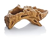 Westinghouse Doppel-Pflanzschale im trendigen Wurzelholz-Design, Outdoor, 36 x 14.5 x 14 cm, Wood-like, Earthy Tone