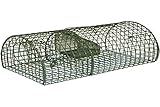 cit Ratten-Massenfänger Alive MultiRat, Lebendfalle, Metall, 40x24x18cm, mit Öffnungsklappe