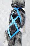 Northern Howl X-Back Zuggeschirr Fuer Bike-, Skijoring Dogscooting Canicross Schlitten in Blau